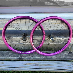 20230515_111333_85c42fbc-3f2a-