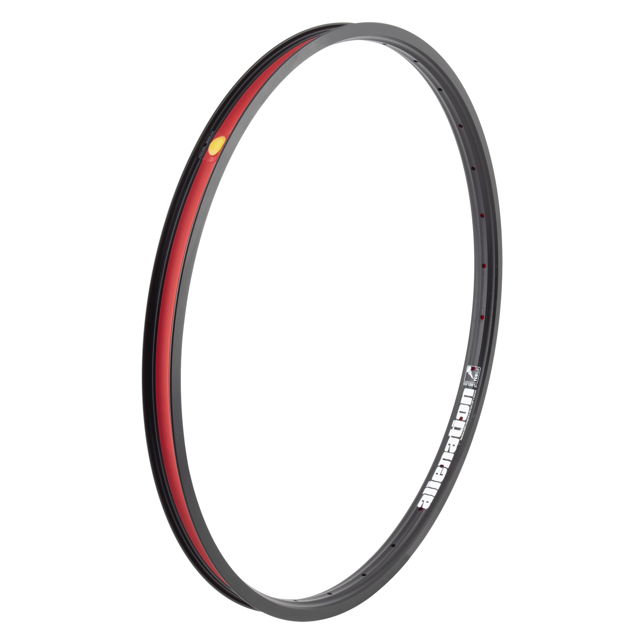 24" (507mm) Alienation Malice G69 TSC 2.0 Rear Double Wall BMX Rim  - 28H - Black