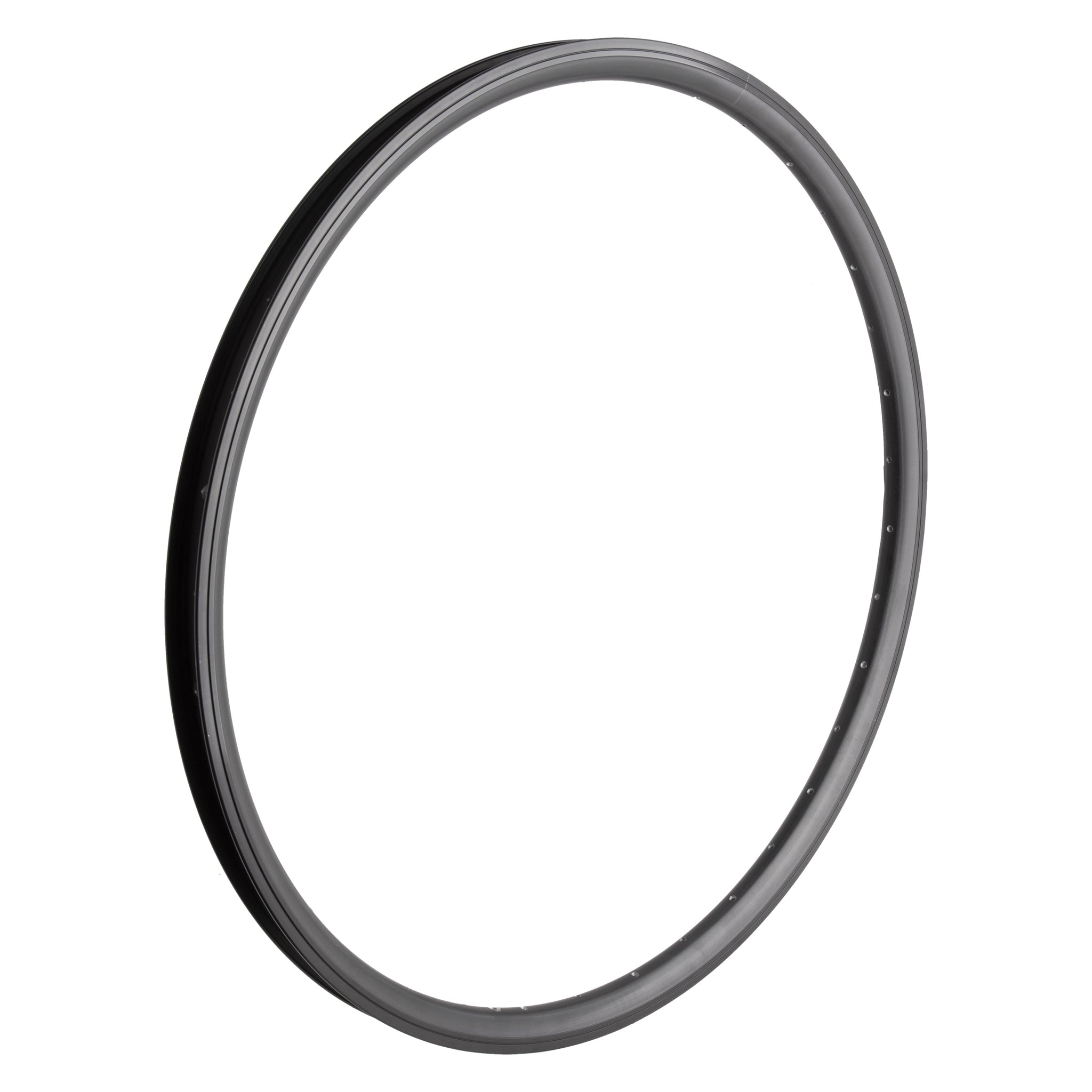 29" SE Racing J25SG Double Wall Rim 36H Black / C&W Cycle