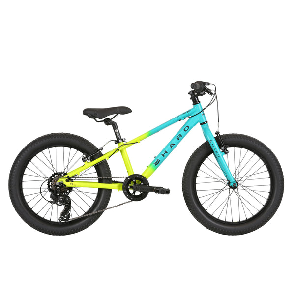 Haro Flightline 20+