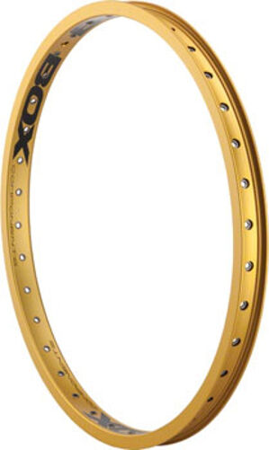 20" (406mm) Box Focus - 36H - Rear Rim - Gold