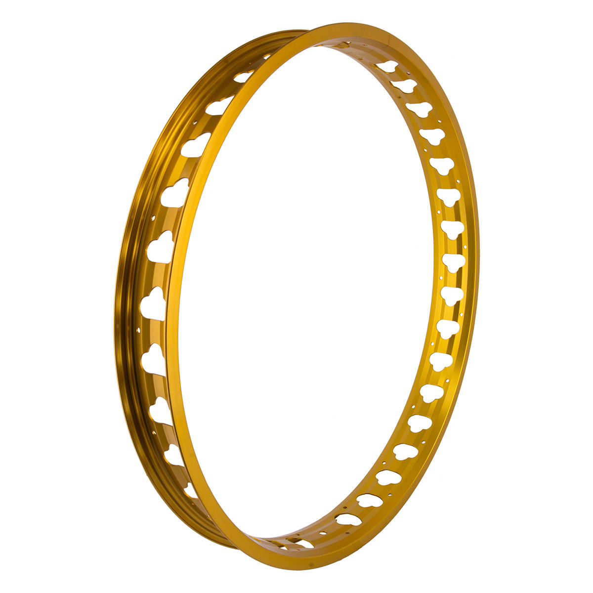 26 SE Racing JP60 Fat Ripper Extra Wide Rim 36H Gold