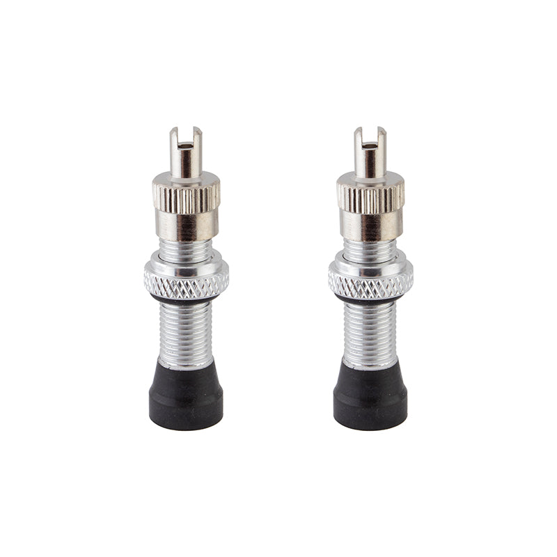 Alienation Alloy TCS Tubeless Schrader/American Valve Stems - 32mm - Pair -Silver